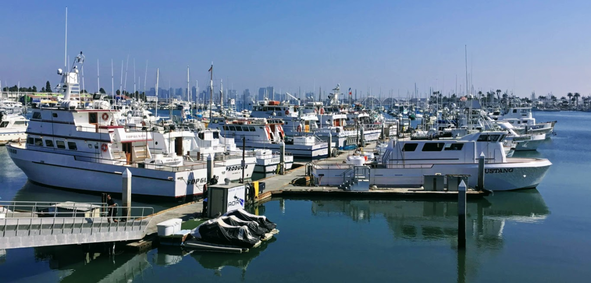 Boat Services