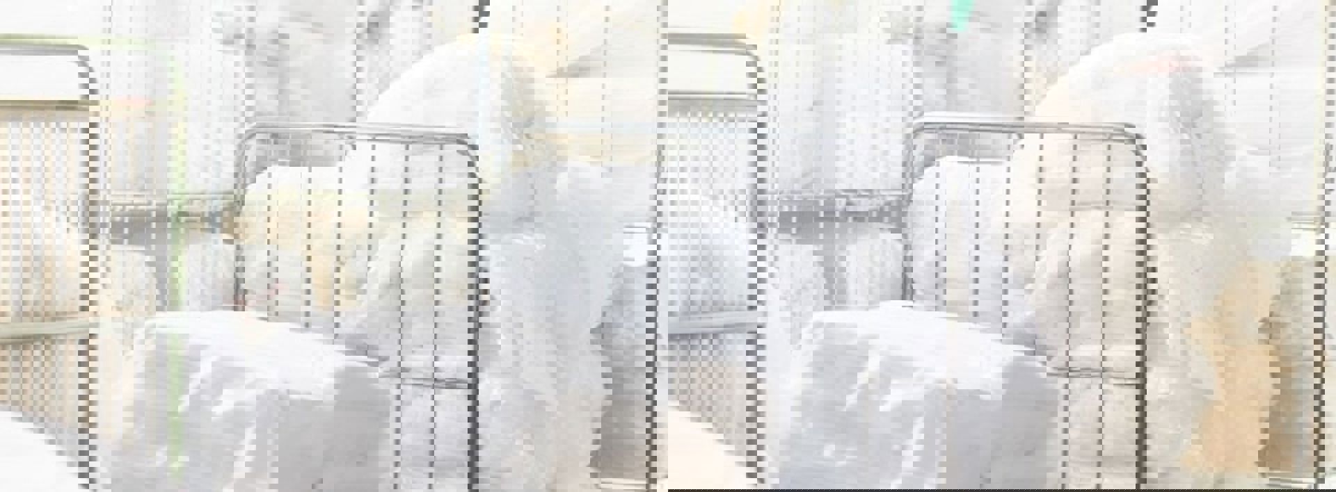 Commercial Banner